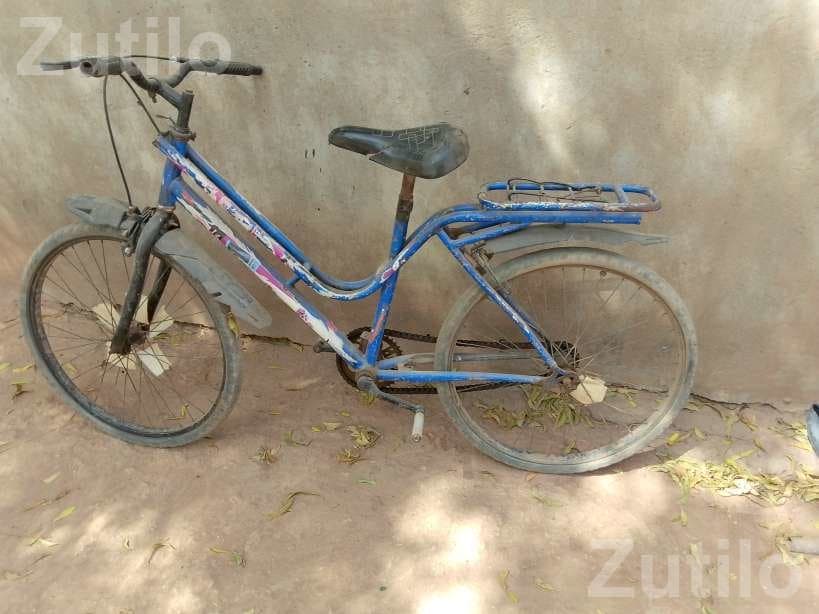 Blue City Bicycle with Rear Carrier