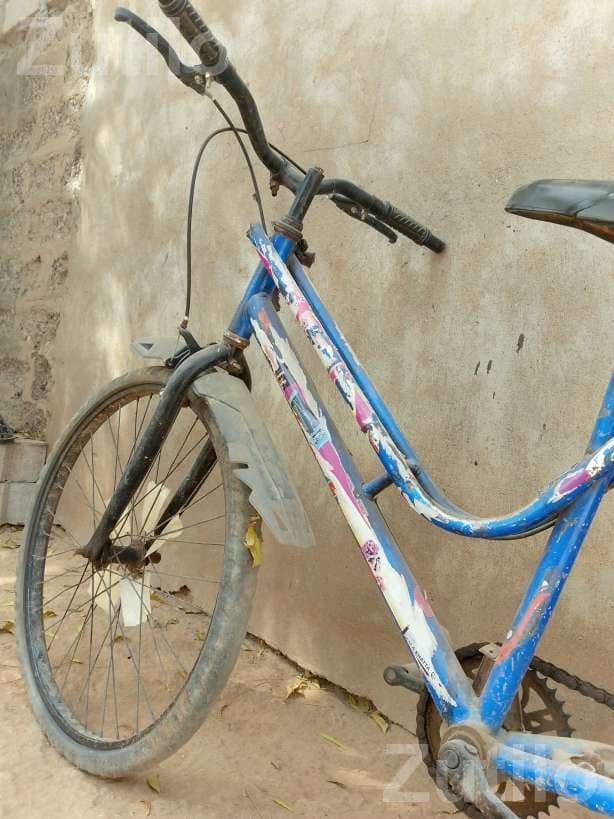 Blue City Bicycle with Rear Carrier - સાયકલ - ભુજ - Image 2