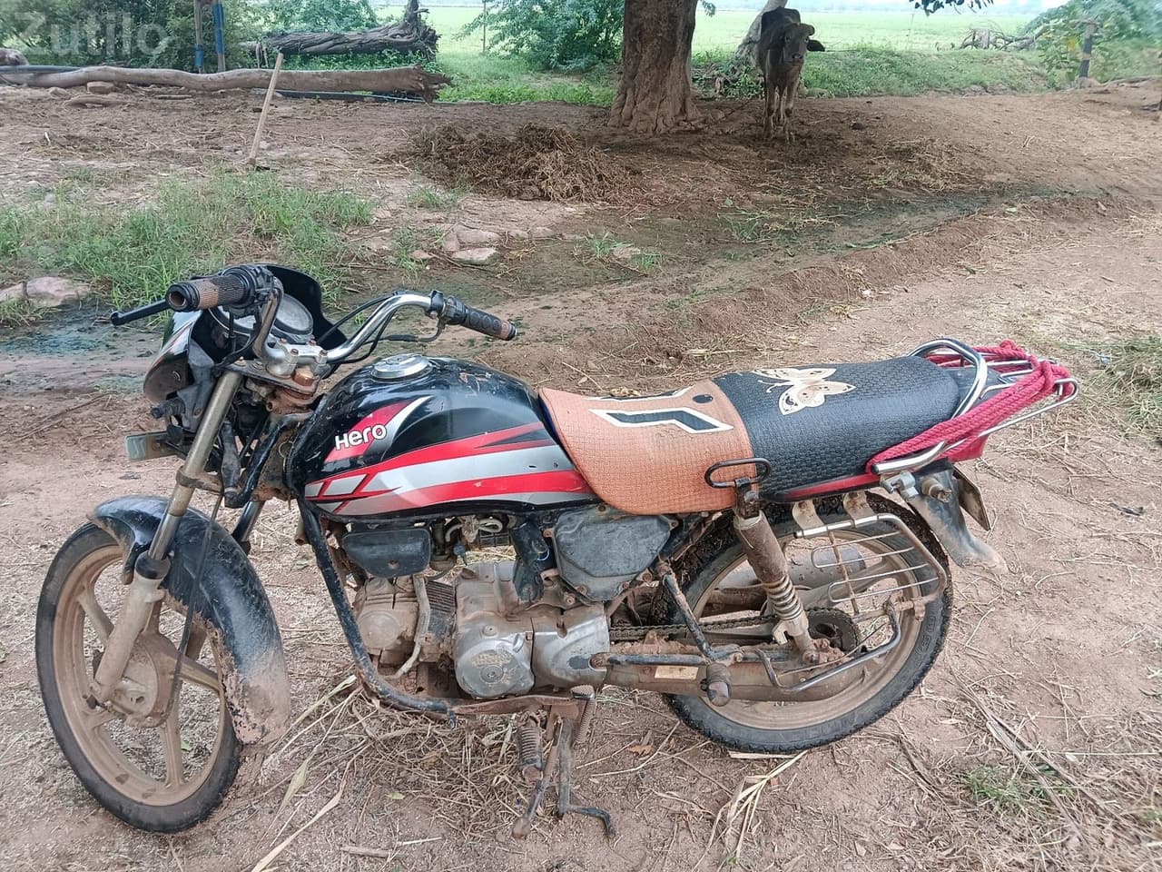 2011 Model Commuter Bike - બાઇક્સ - હળવદ - Image 4