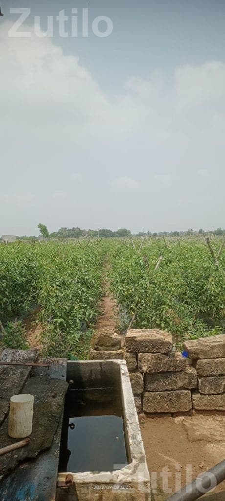 10 mm Strong Wire Bundles for Vegetable Support - ટૂલ્સ અને હાર્ડવેર - વંથલી - Image 4