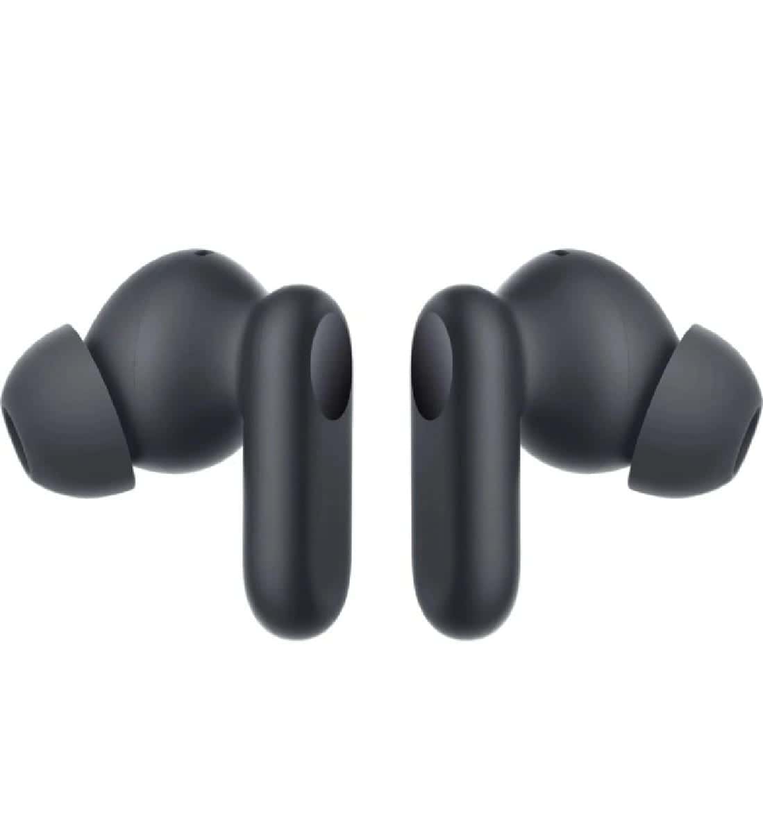 ન્યૂ ઓન પ્લસ બર્ડ્સ વેચવાના છે ન્યૂ ઓન પ્લસ બર્ડ્સ વેચવાના છે