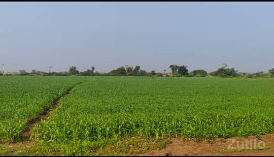 ખેતીની જમીન વેચવાની છે ખેતીની જમીન વેચવાની છે