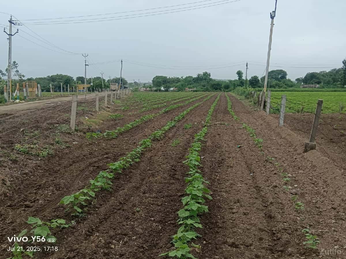 1એકર જમીન રોડ ટચ 1એકર જમીન રોડ ટચ