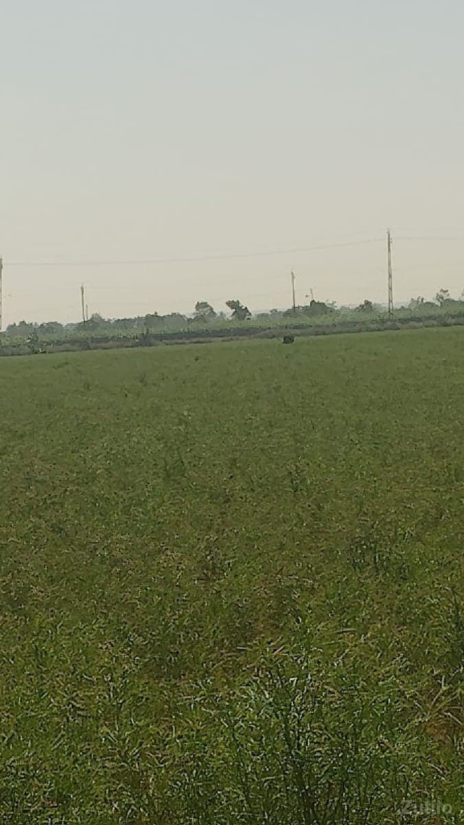 જમીન ભાડે જોઈ છે પડતર કે પાણી વગર ન