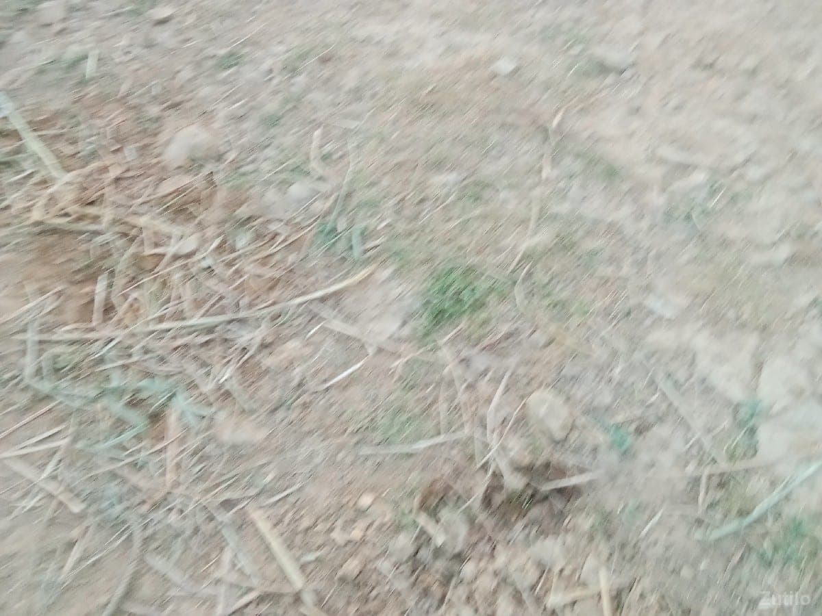 જમીન વેચવાની છે - Land & Plots - Rajkot City - Image 1