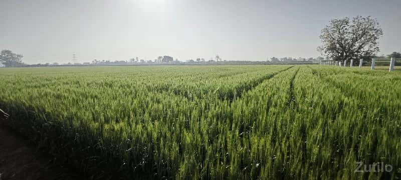 જમીન વેચવાની છે જમીન વેચવાની છે