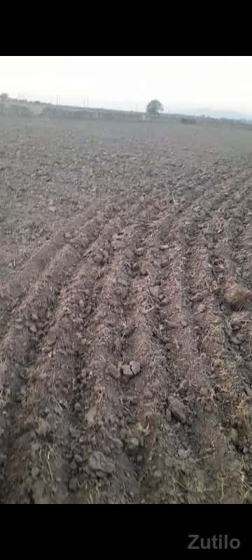 આ ખેતર વેચવાનુ છે
6.5 વિઘા છે આ ખેતર વેચવાનુ છે
6.5 વિઘા છે