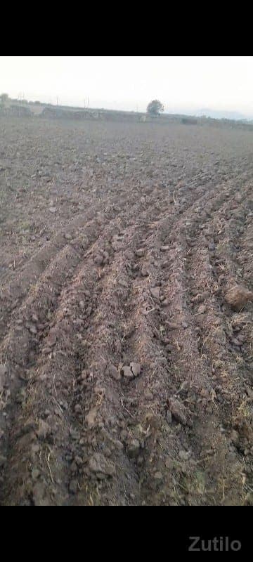 આ ખેતર વેચવાનુ છે
6.5 વિઘા છે