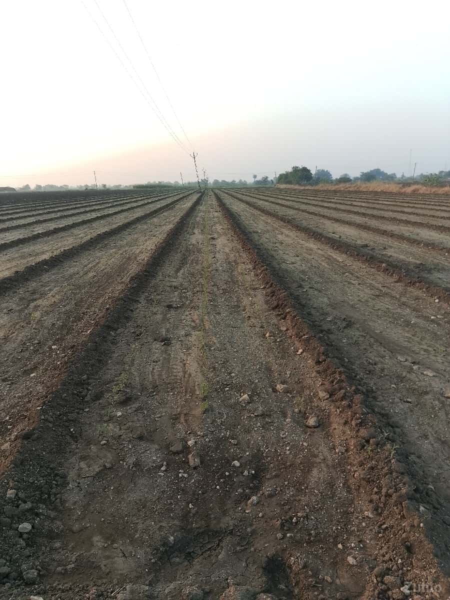 જમીન વેચવાની છે
33.વીઘા 12 ગુઠા ખાત જમીન વેચવાની છે
33.વીઘા 12 ગુઠા ખાત