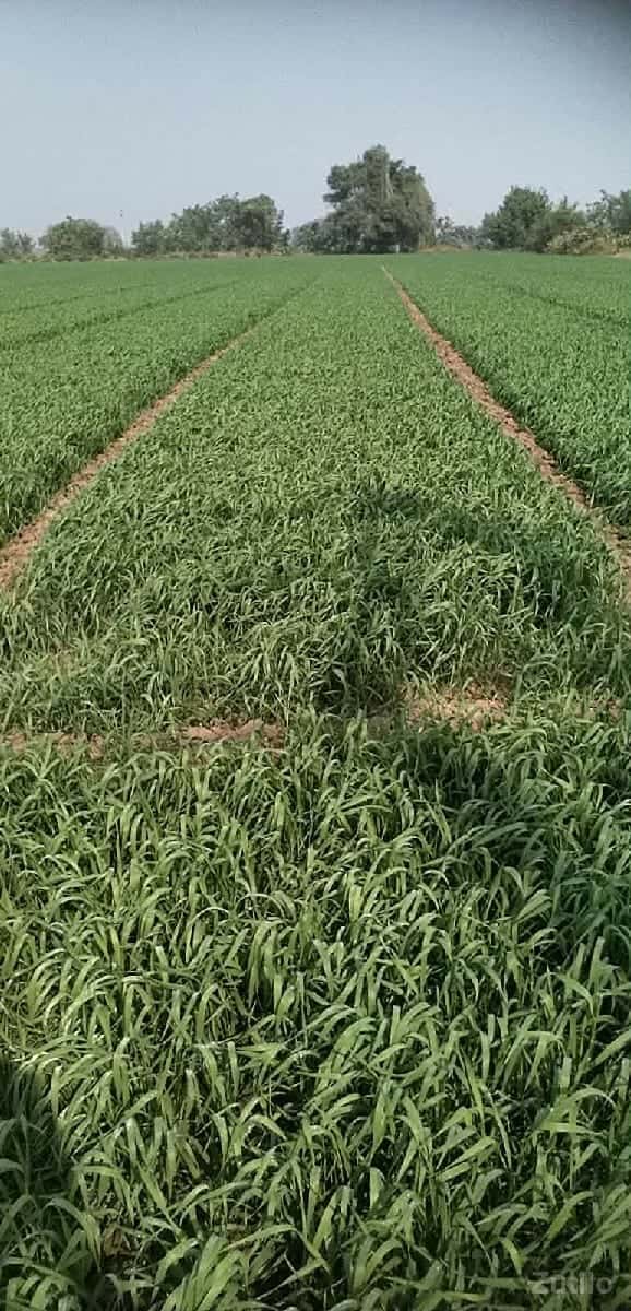 જુનાગઢ અને પોરબંદર હાઇવે રોડ ટચ જુનાગઢ અને પોરબંદર હાઇવે રોડ ટચ