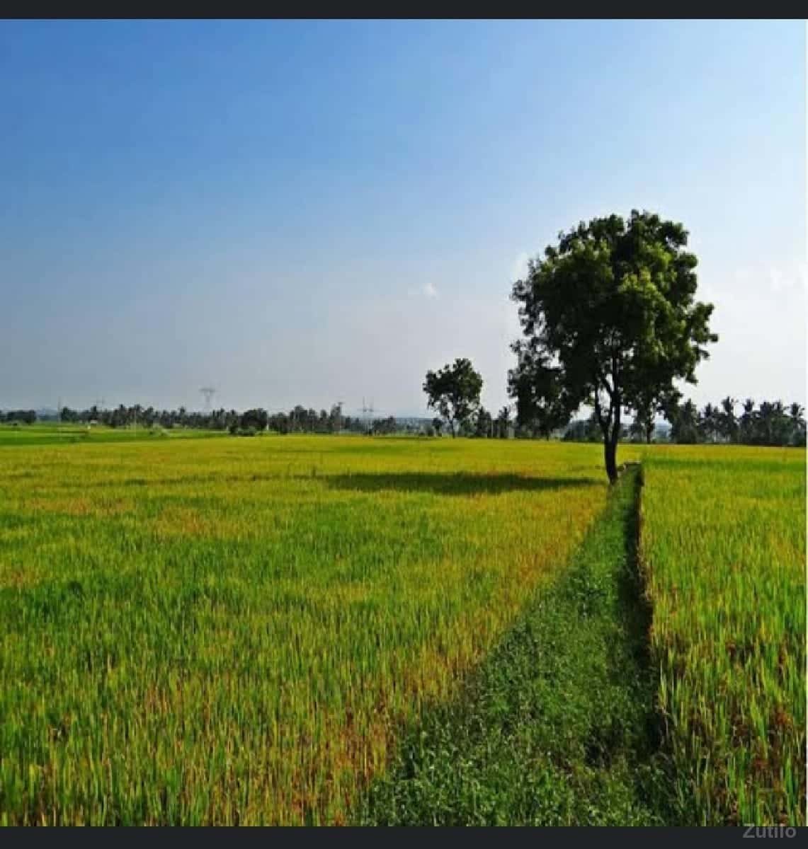 જમીન લે વેચ જમીન લે વેચ