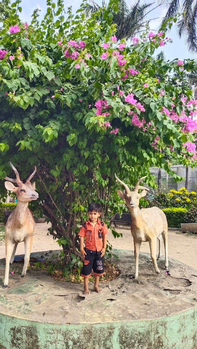 જમીન વેચવાની છે