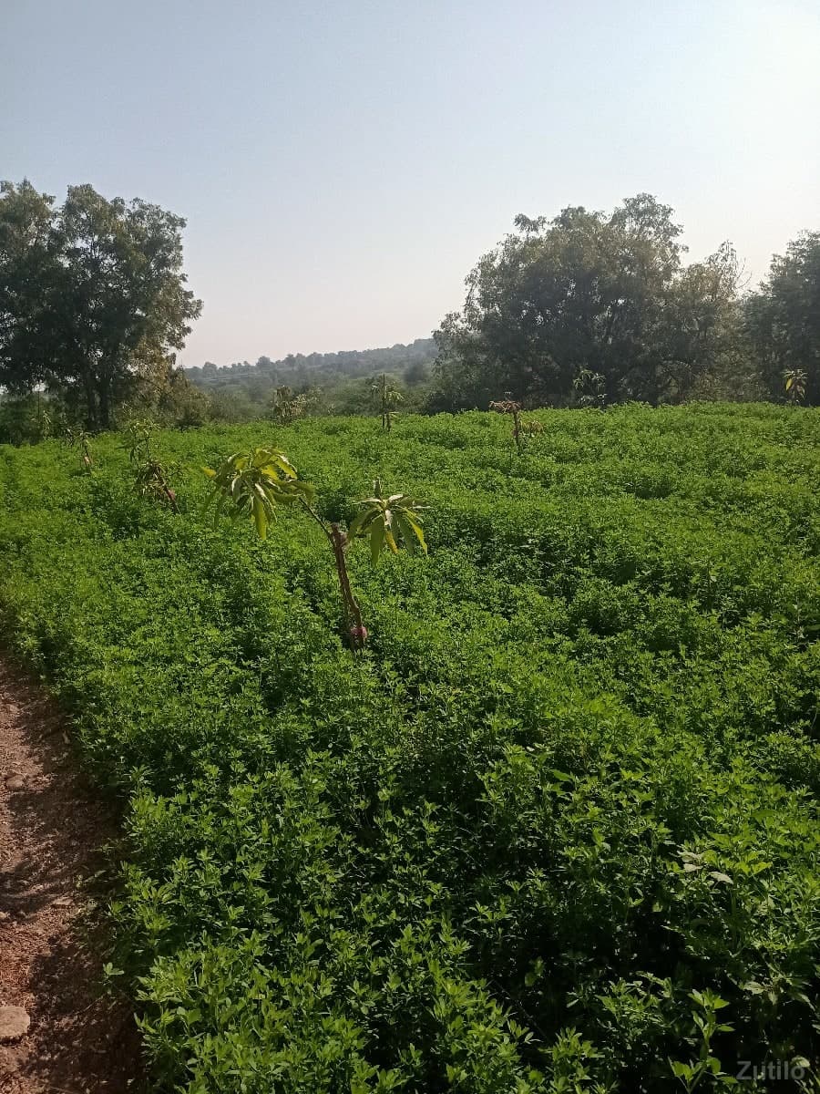 જમીન લેવા માટે કોન્ટેક કરો જમીન લેવા માટે કોન્ટેક કરો