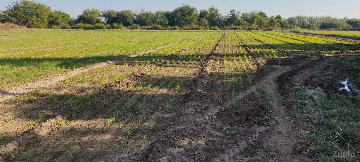 જમીન વેસવાની જમીન વેસવાની