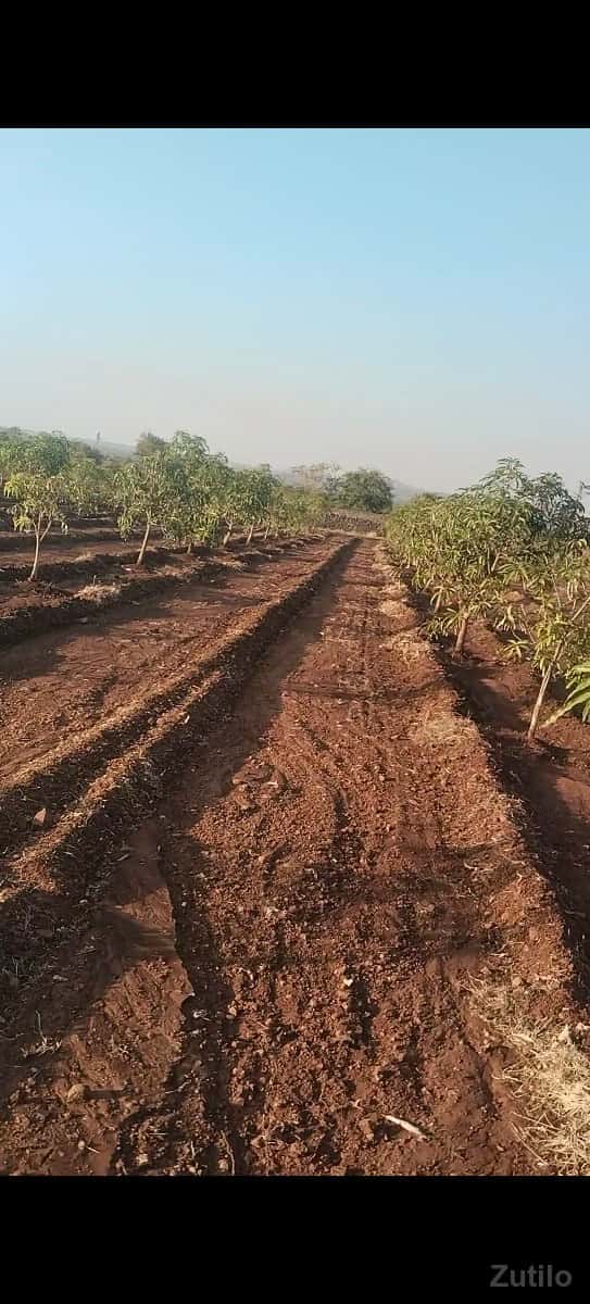 બગીચા વાળી જમીન વેચવા ની છે બગીચા વાળી જમીન વેચવા ની છે