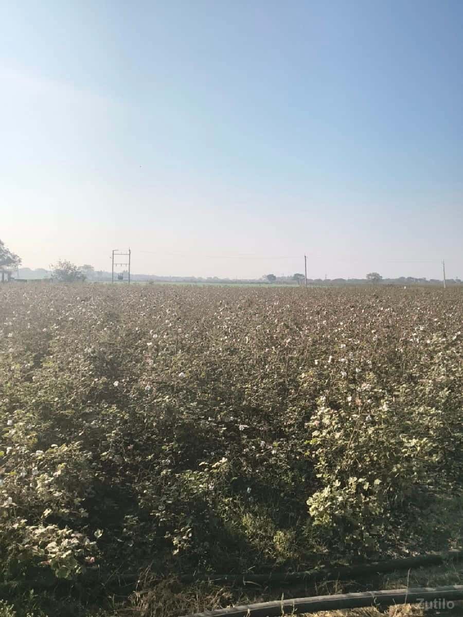 jamin vechavani che jamin vechavani che