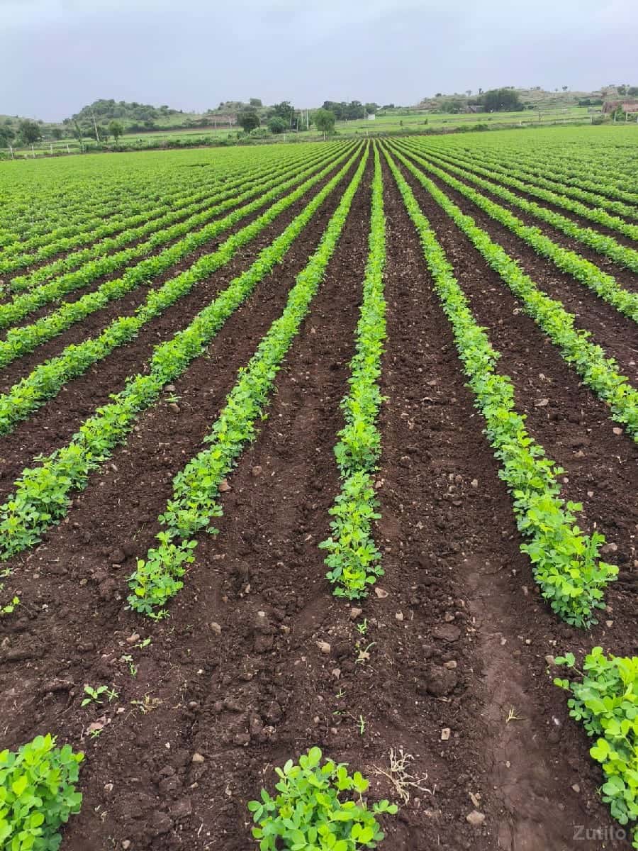 જમીન વેચવાની છે જમીન વેચવાની છે