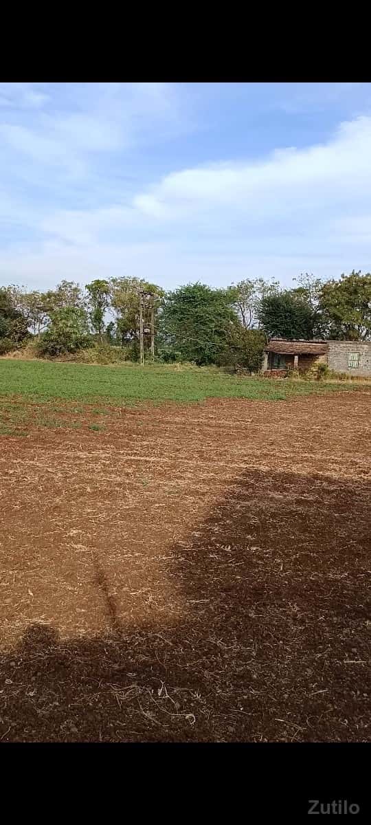 20 vigha rode touch 20 vigha rode touch