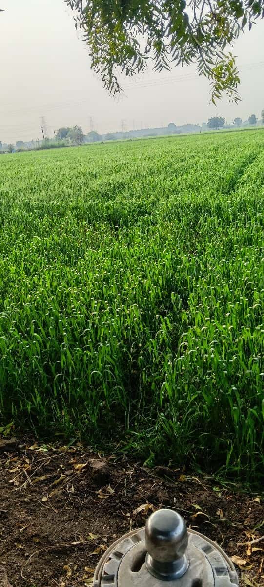 જમીન વેચવાની છેઃ જમીન વેચવાની છેઃ