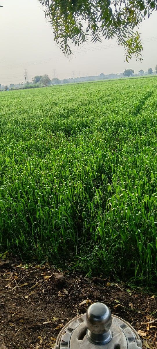 જમીન વેચવાની છેઃ - જમીન અને પ્લોટ - ગાંધીનગર શહેર - Image 1