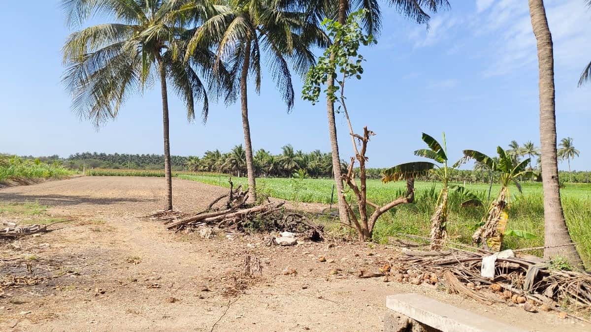 જમીન વેચવાની છે જમીન વેચવાની છે