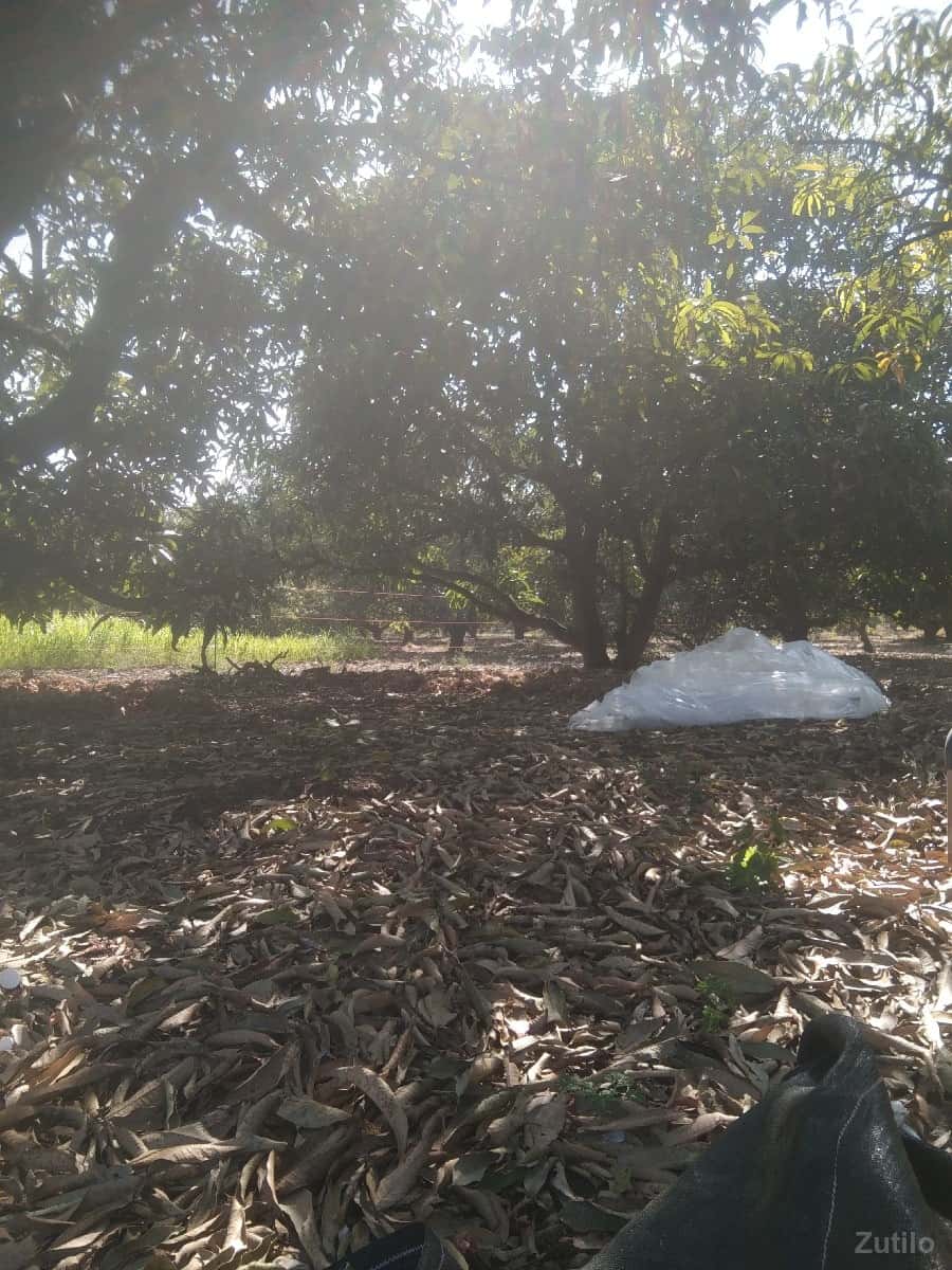 સાગોદ્રા ભોજડે વીરપુર બોરવાવ સાગોદ્રા ભોજડે વીરપુર બોરવાવ