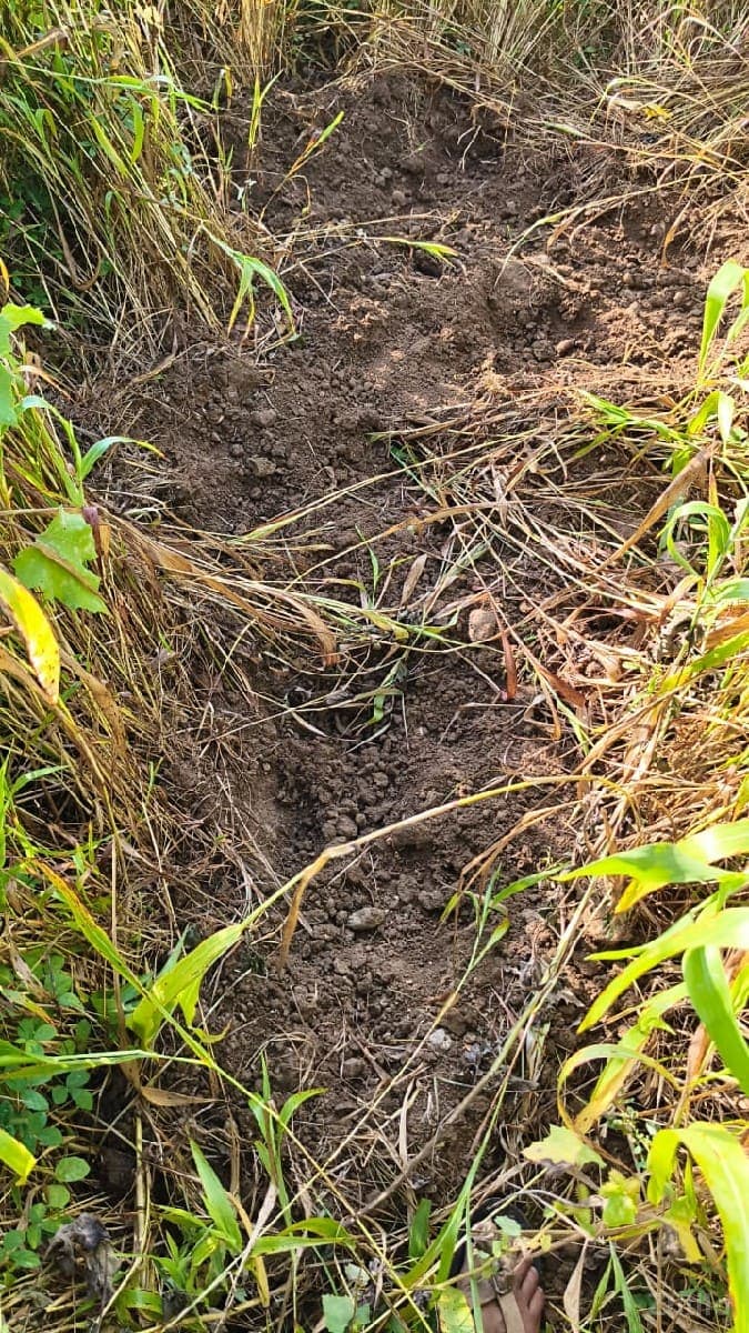 જમીન વેચવાની - જમીન અને પ્લોટ - દ્વારકા - Image 1