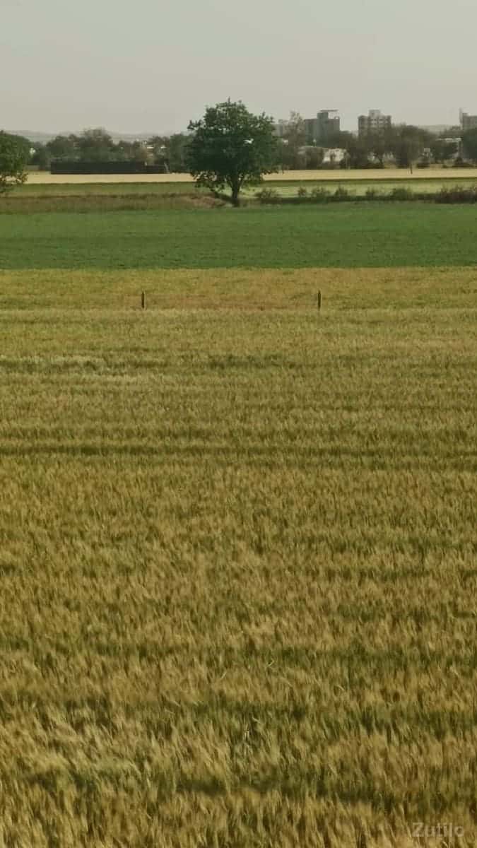 જમીન વેચવા ની છે જમીન વેચવા ની છે