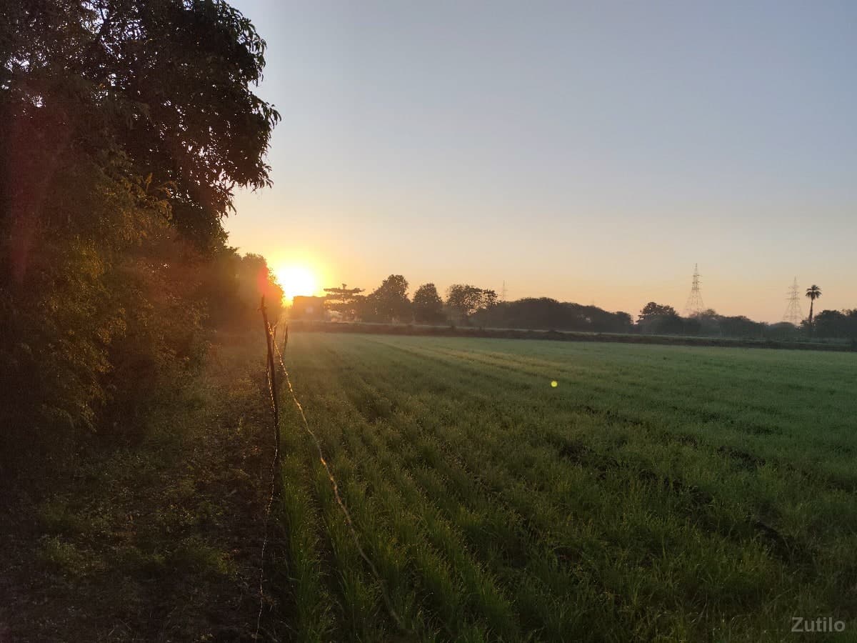 ખેતીલાયક જમીન વેચવાની છે.