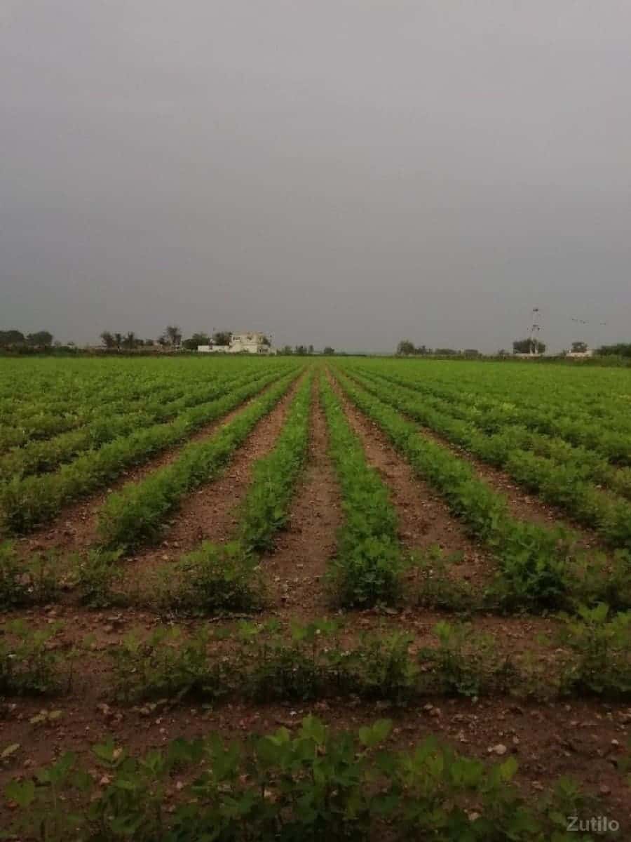 Jamin vesvani se Jamin vesvani se