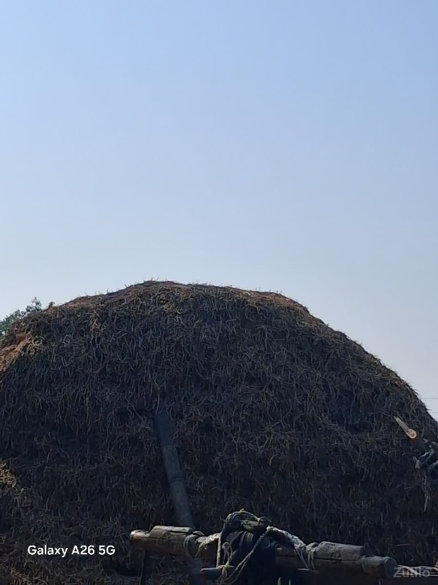 માડવી નો સારો - જમીન અને પ્લોટ - અમદાવાદ શહેર - Image 1