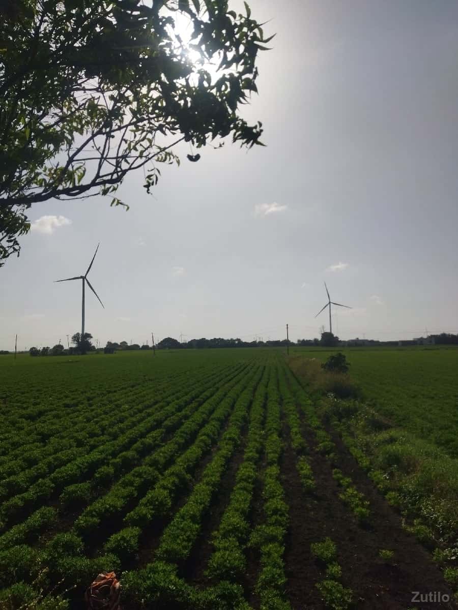 જમીન વેચવાની છે જમીન વેચવાની છે