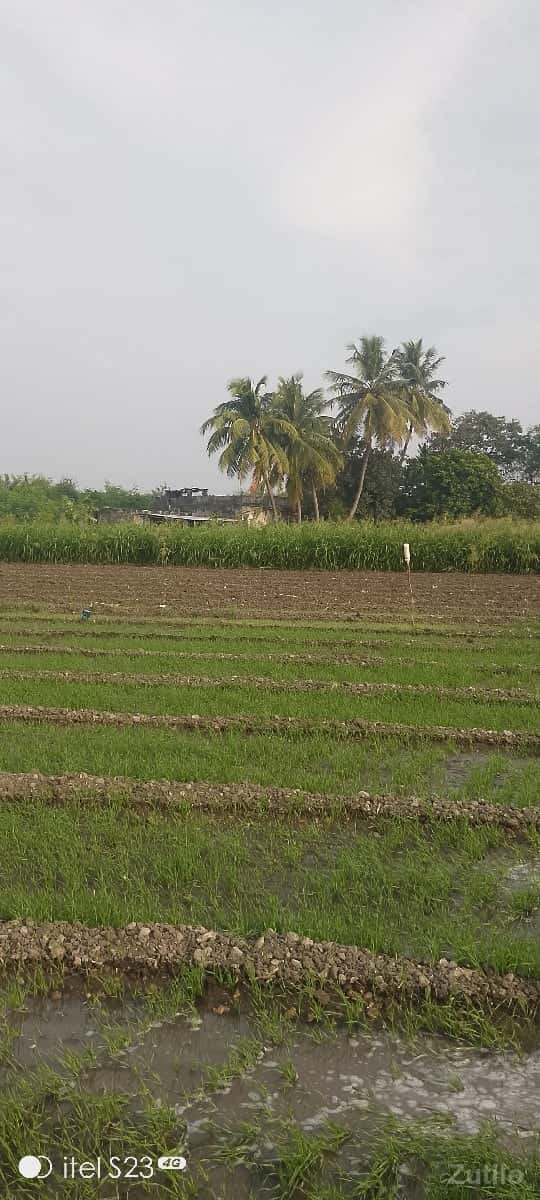 વેચવાનીછે વેચવાનીછે