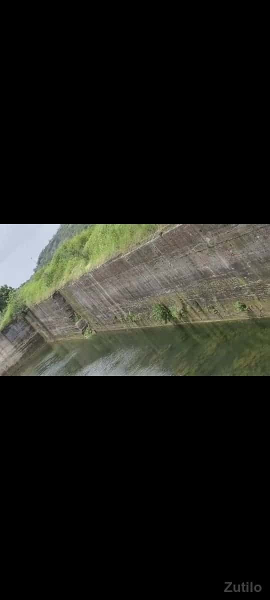 જમીન વેચવાની છે બેલાની ખાન થાય જમીન વેચવાની છે બેલાની ખાન થાય