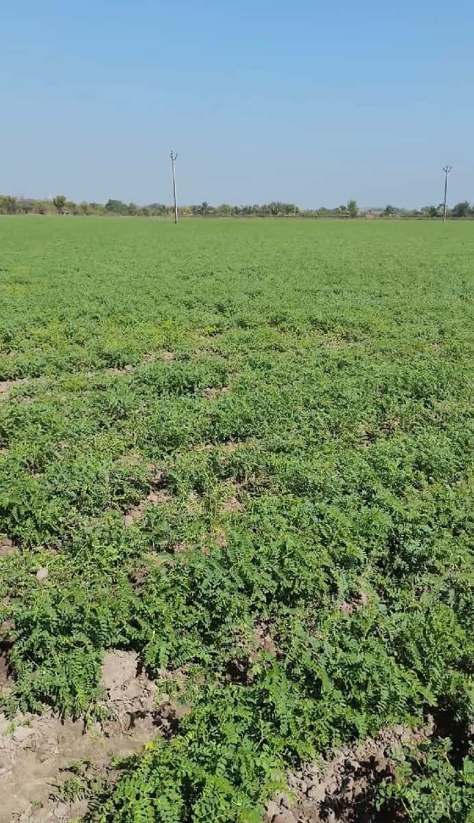 જમીન વેચવાની છે મો: 9925342683 જમીન વેચવાની છે મો: 9925342683