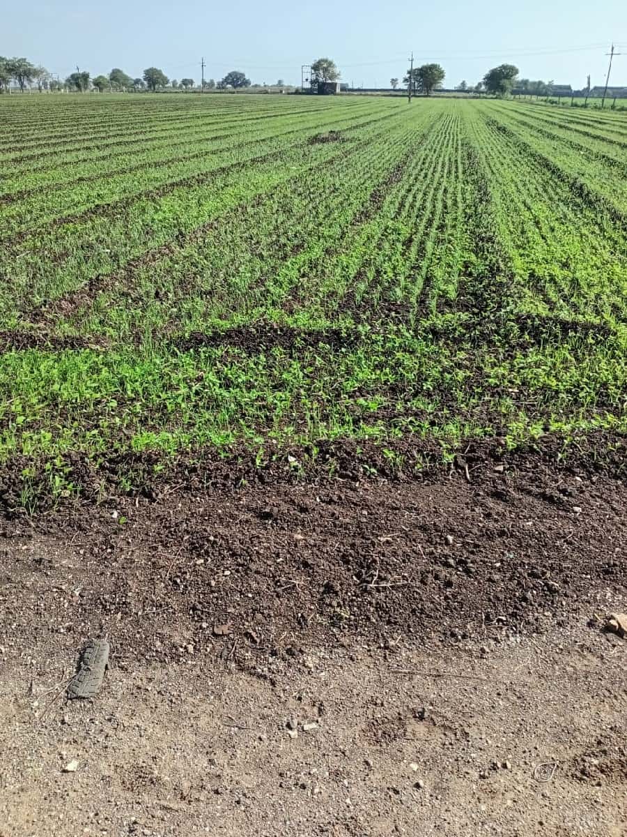 આ જમીન વેચવાની છે આ જમીન વેચવાની છે