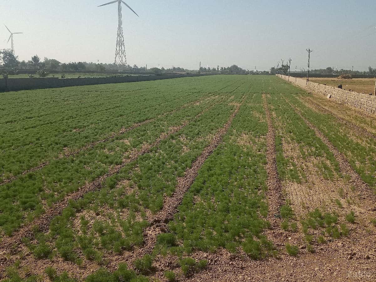 jamin vechva ni chhe jamin vechva ni chhe