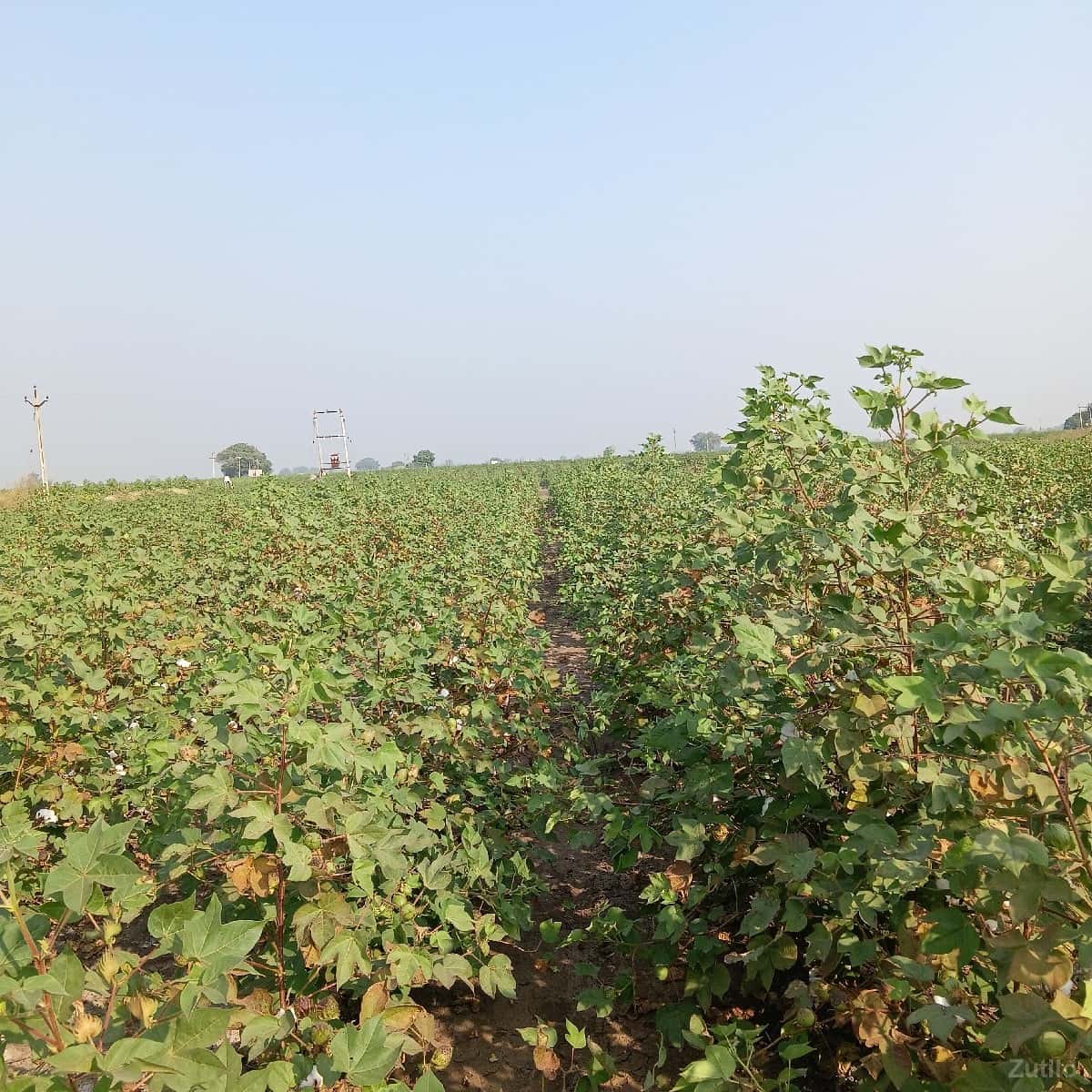 jamin vesva ni se. 6. vigha jamin vesva ni se. 6. vigha