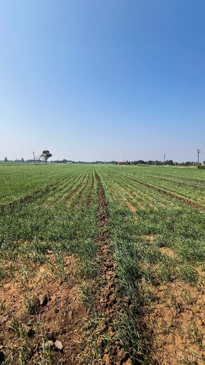 જમીન વેચવાની છે જમીન વેચવાની છે