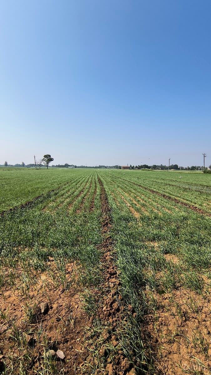 જમીન વેચવાની છે
