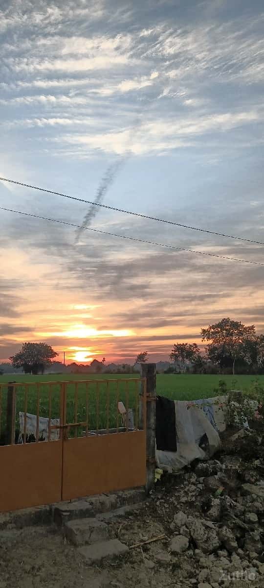 1 વીઘાના 24 લાખ 1 વીઘાના 24 લાખ