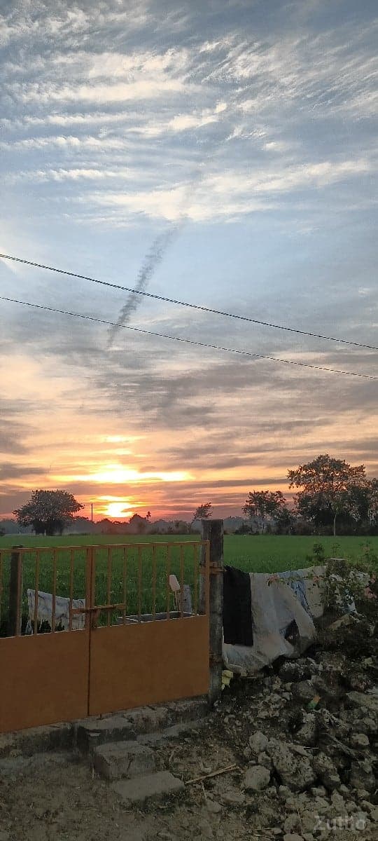 1 વીઘાના 24 લાખ - Land & Plots - Kodinar - Image 1