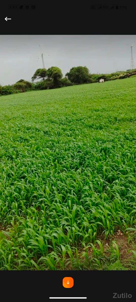 jamin vech vani. he jamin vech vani. he