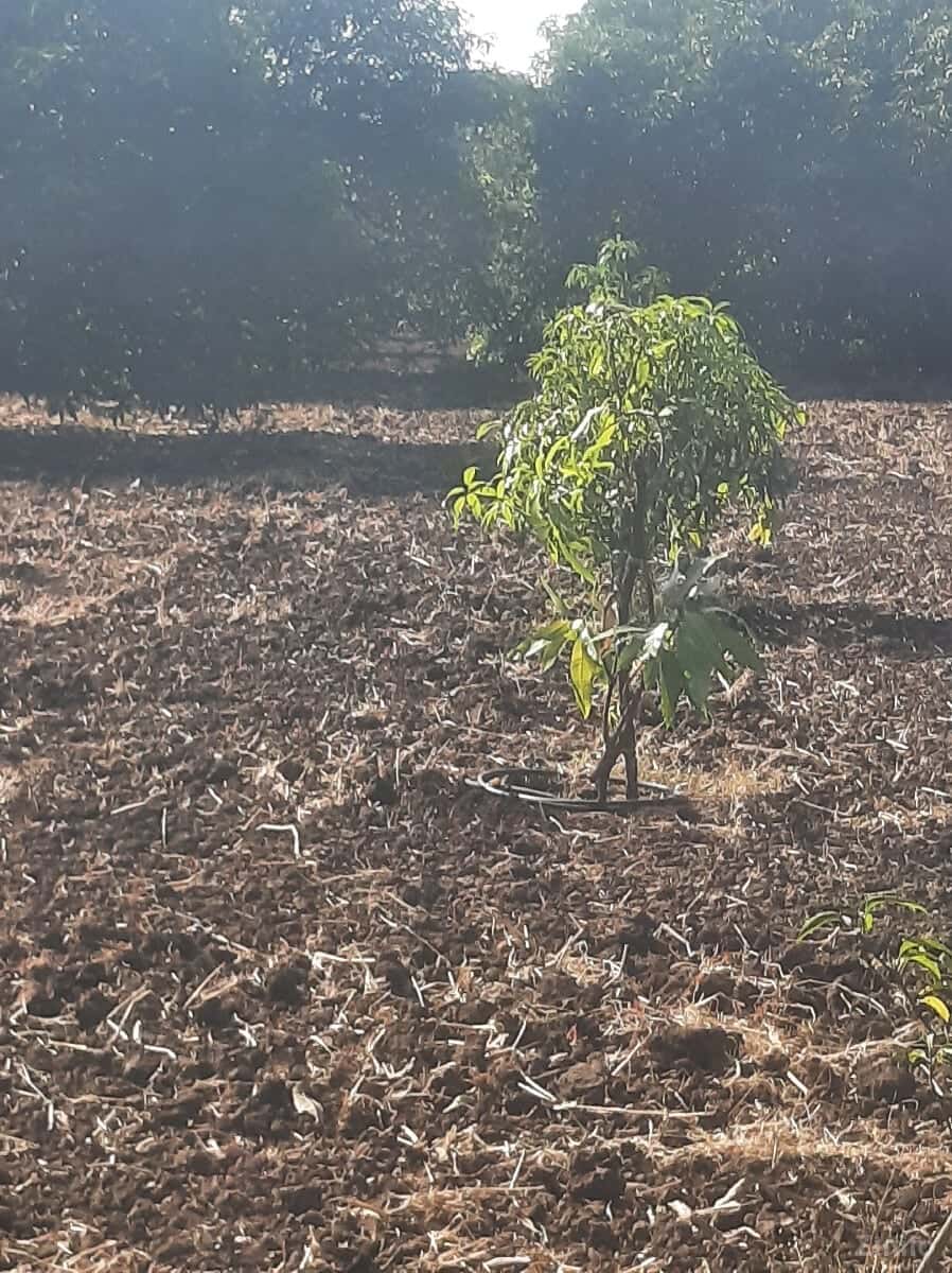 Jameen bechwani se paanchvi ka 12व Jameen bechwani se paanchvi ka 12व