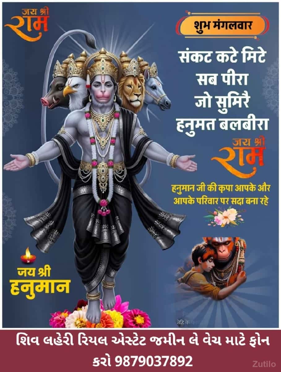 *જમીન લે વેચ માટે સંપર્ક કરો* *જમીન લે વેચ માટે સંપર્ક કરો*