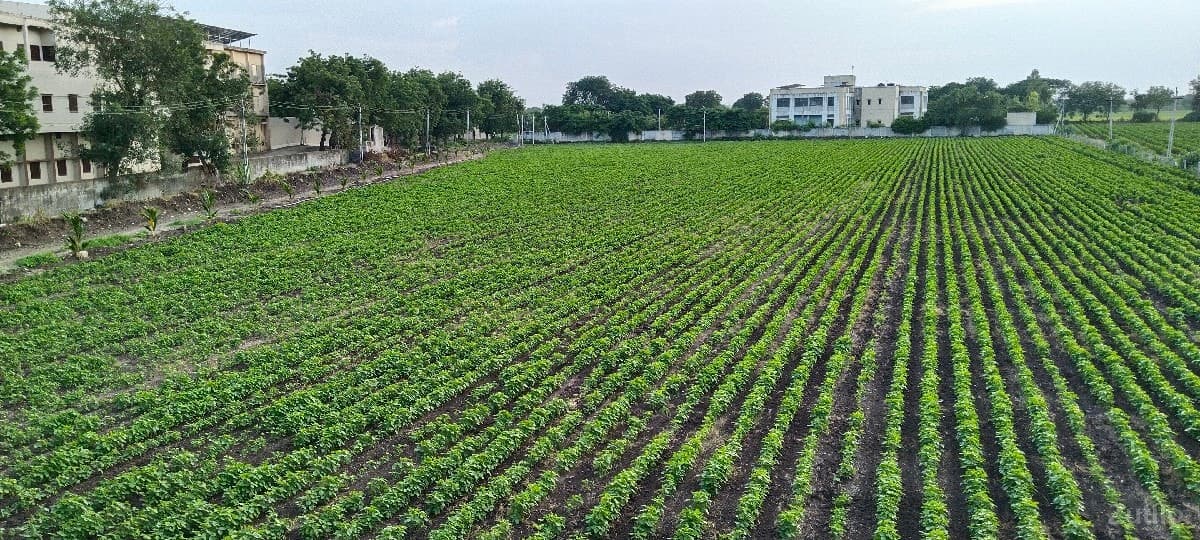 Dumiyani highway tach jamin Dumiyani highway tach jamin