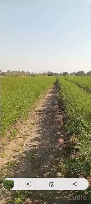 જમીન વેચવાની છે જમીન વેચવાની છે