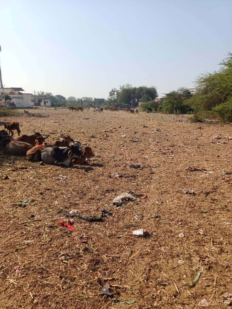 જમીન વેચાણ માટે જમીન વેચાણ માટે