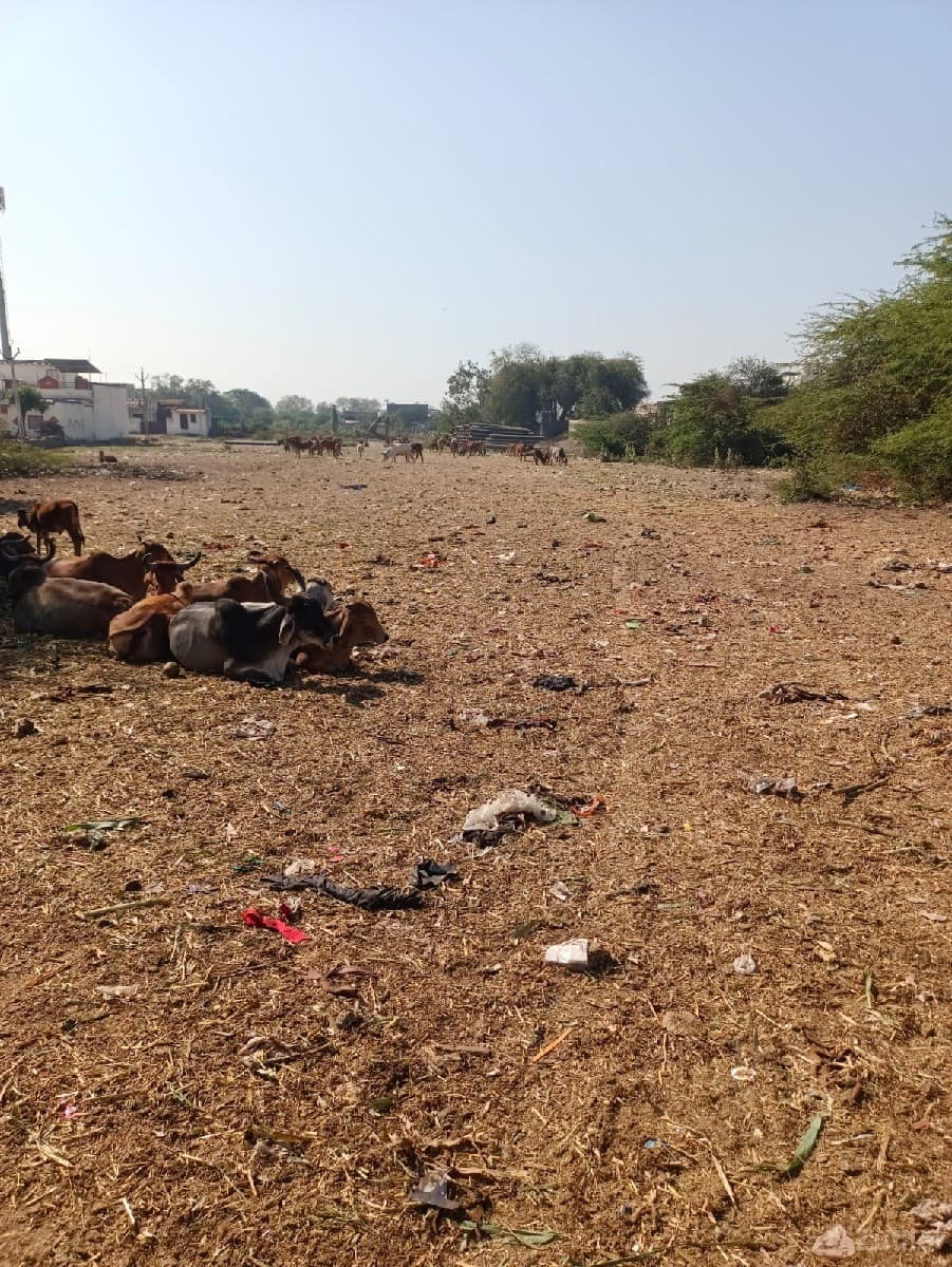 જમીન વેચાણ માટે - Land & Plots - Upleta - Image 1