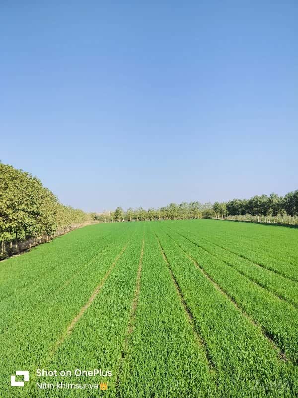 જમીન વેચવાની છે જમીન વેચવાની છે